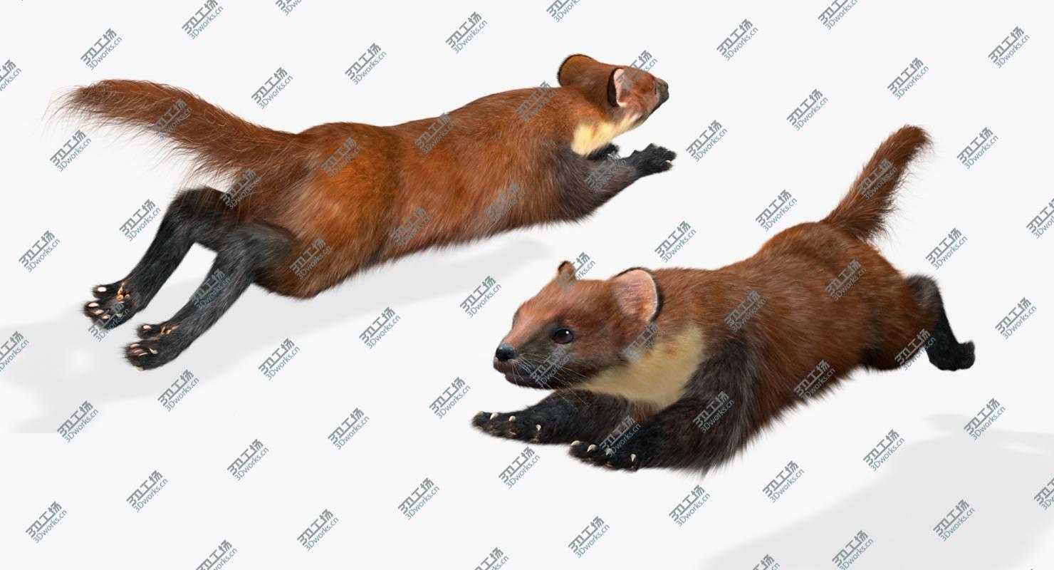 images/goods_img/2021040163/Marten (Animated,Fur)/5.jpg